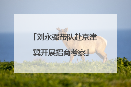 刘永强带队赴京津冀开展招商考察