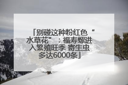 别碰这种粉红色“水草花”：福寿螺进入繁殖旺季 寄生虫多达6000条