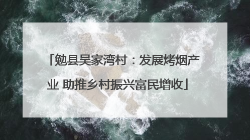 勉县吴家湾村：发展烤烟产业 助推乡村振兴富民增收