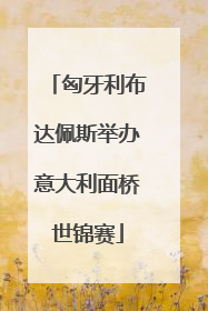 匈牙利布达佩斯举办意大利面桥世锦赛
