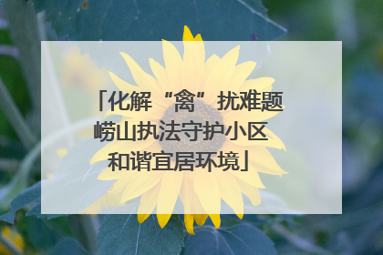 化解“禽”扰难题 崂山执法守护小区和谐宜居环境