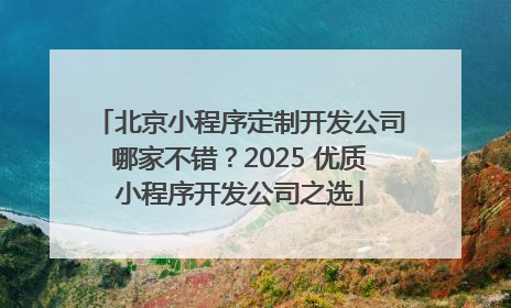 北京小程序定制开发公司哪家不错？2025 优质小程序开发公司之选