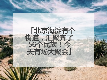 北京海淀有个街道，汇聚齐了56个民族！今天有场大聚会
