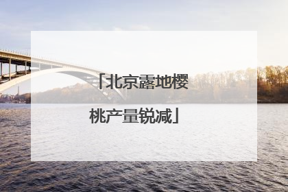 北京露地樱桃产量锐减