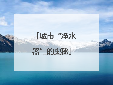 城市“净水器”的奥秘