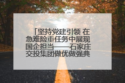 坚持党建引领 在急难险重任务中展现国企担当——石家庄交投集团做优做强典型报道之一