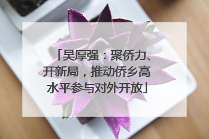 吴厚强：聚侨力、开新局，推动侨乡高水平参与对外开放