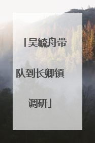 吴毓舟带队到长卿镇调研