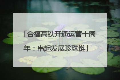 合福高铁开通运营十周年：串起发展珍珠链