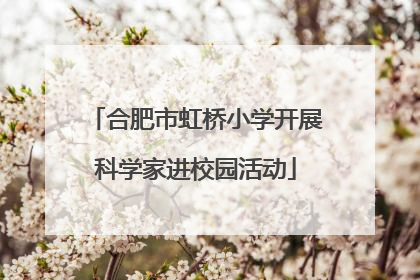 合肥市虹桥小学开展科学家进校园活动