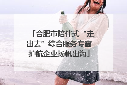 合肥市陪伴式“走出去”综合服务专窗护航企业扬帆出海