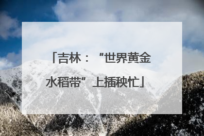 吉林：“世界黄金水稻带”上插秧忙