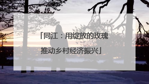 同江：用绽放的玫瑰 推动乡村经济振兴