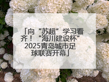 向“苏超”学习看齐！“海川建设杯”2025青岛城市足球联赛开幕