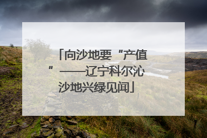 向沙地要“产值”——辽宁科尔沁沙地兴绿见闻