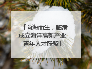 向海而生，临港成立海洋高新产业青年人才联盟
