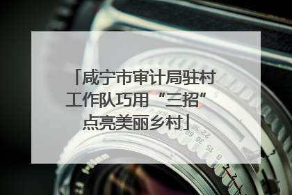 咸宁市审计局驻村工作队巧用“三招”点亮美丽乡村