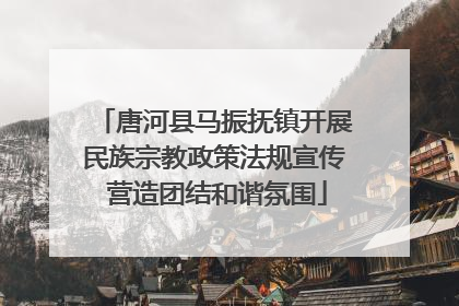 唐河县马振抚镇开展民族宗教政策法规宣传 营造团结和谐氛围