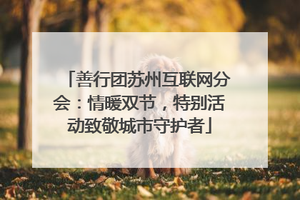 善行团苏州互联网分会：情暖双节，特别活动致敬城市守护者