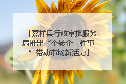 嘉祥县行政审批服务局推出“个转企一件事”带动市场新活力