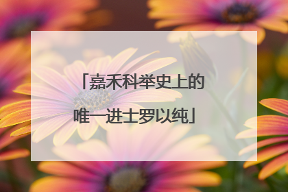 嘉禾科举史上的唯一进士罗以纯