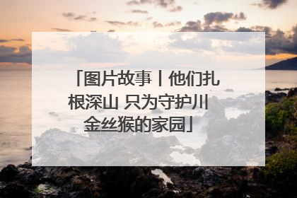 图片故事丨他们扎根深山 只为守护川金丝猴的家园