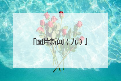 图片新闻（九）