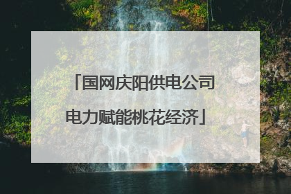 国网庆阳供电公司电力赋能桃花经济