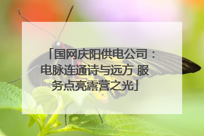 国网庆阳供电公司：电脉连通诗与远方 服务点亮露营之光