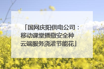 国网庆阳供电公司：移动课堂播撒安全种 云端服务浇灌节能花