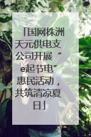国网株洲天元供电支公司开展“e起节电”惠民活动，共筑清凉夏日