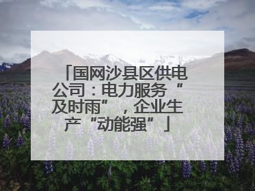 国网沙县区供电公司：电力服务“及时雨”，企业生产“动能强”