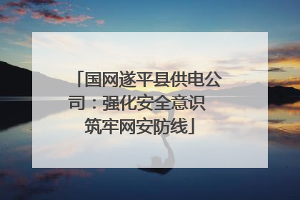 国网遂平县供电公司：强化安全意识 筑牢网安防线