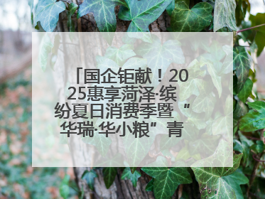 国企钜献！2025惠享菏泽·缤纷夏日消费季暨“华瑞·华小粮”青岛啤酒节启幕！
