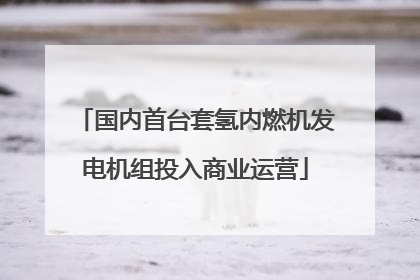 国内首台套氢内燃机发电机组投入商业运营