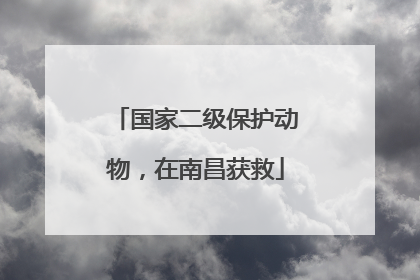 国家二级保护动物，在南昌获救