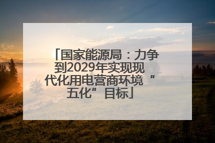 国家能源局：力争到2029年实现现代化用电营商环境“五化”目标