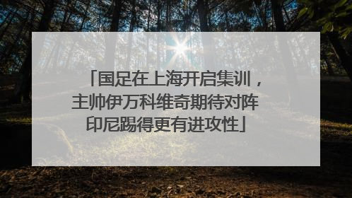 国足在上海开启集训，主帅伊万科维奇期待对阵印尼踢得更有进攻性