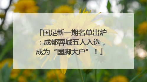 国足新一期名单出炉：成都蓉城五人入选，成为“国脚大户”！