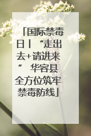 国际禁毒日丨“走出去+请进来” 华容县全方位筑牢禁毒防线