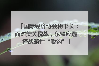国际经济协会秘书长：面对美关税战，东盟应选择战略性“脱钩”