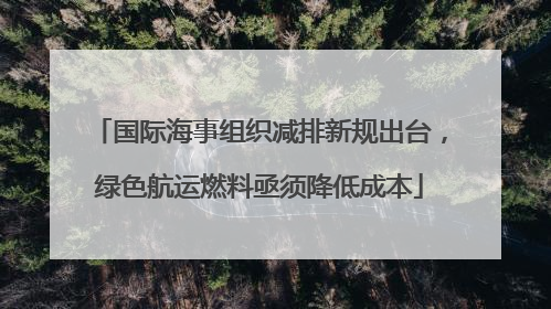 国际海事组织减排新规出台，绿色航运燃料亟须降低成本