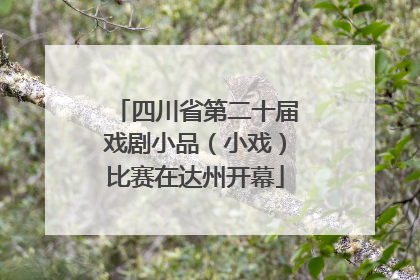 四川省第二十届戏剧小品（小戏）比赛在达州开幕