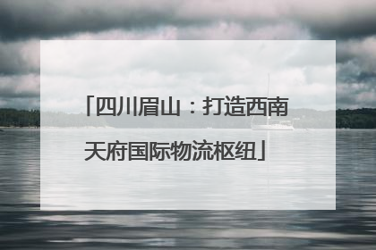 四川眉山：打造西南天府国际物流枢纽