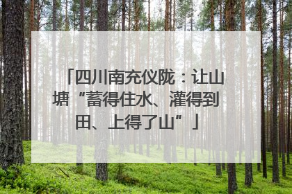 四川南充仪陇:让山塘“蓄得住水、灌得到田、上得了山”