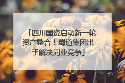 四川国资启动新一轮资产整合！蜀道集团出手解决同业竞争
