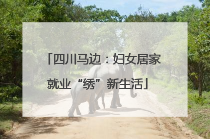 四川马边：妇女居家就业“绣”新生活