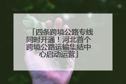 四条跨境公路专线同时开通！河北首个跨境公路运输集结中心启动运营
