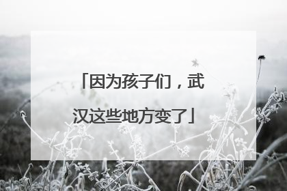 因为孩子们，武汉这些地方变了