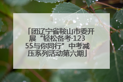 团辽宁省鞍山市委开展“轻松备考·12355与你同行”中考减压系列活动第六期